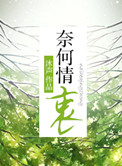 奈何情深缘浅无归期歌曲介绍